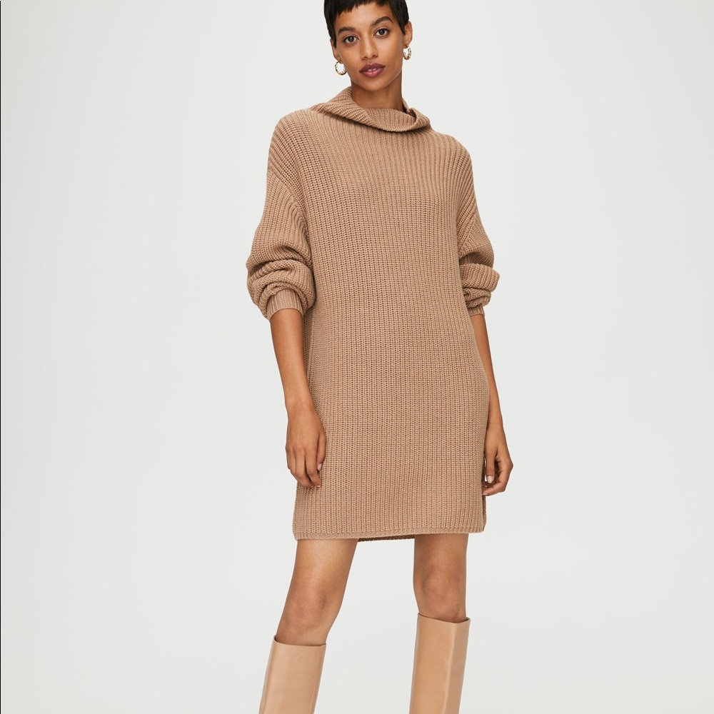 Aritzia Montpellier Sweater Dress